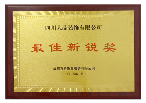 大晶装饰 最佳新锐奖