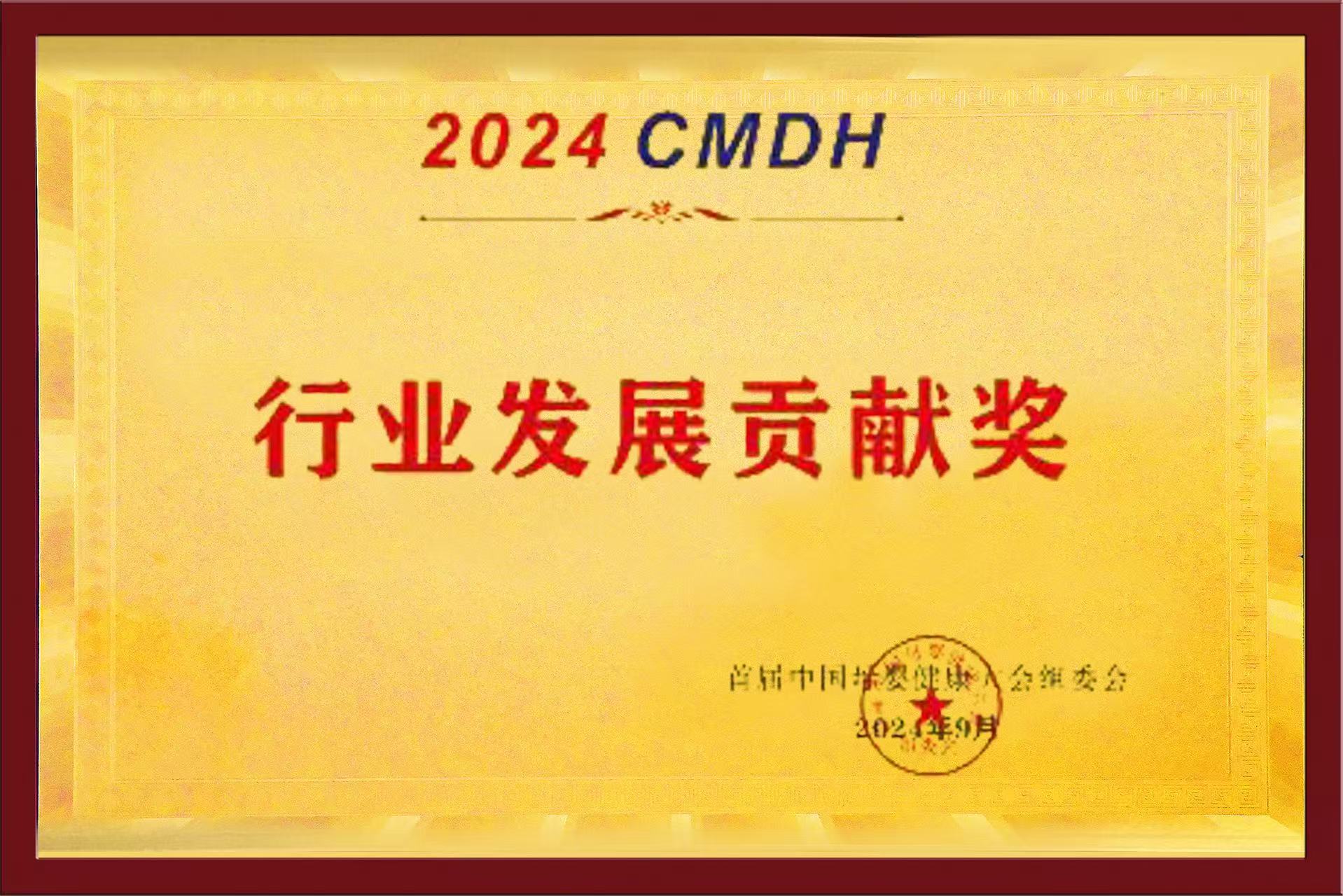 2024 CMDH 行业发展贡献奖