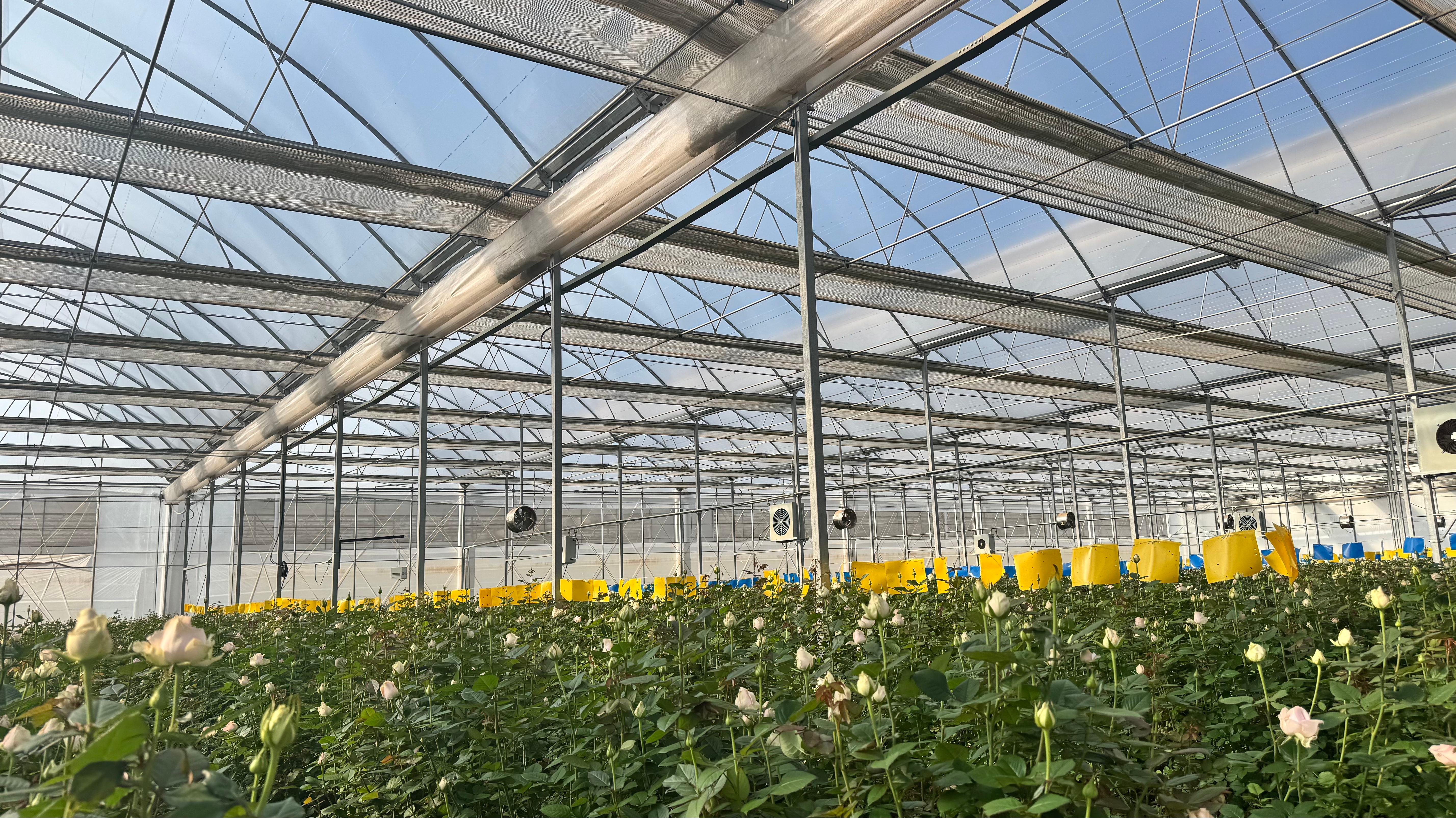 云南雷马塑料散光膜应用场景图