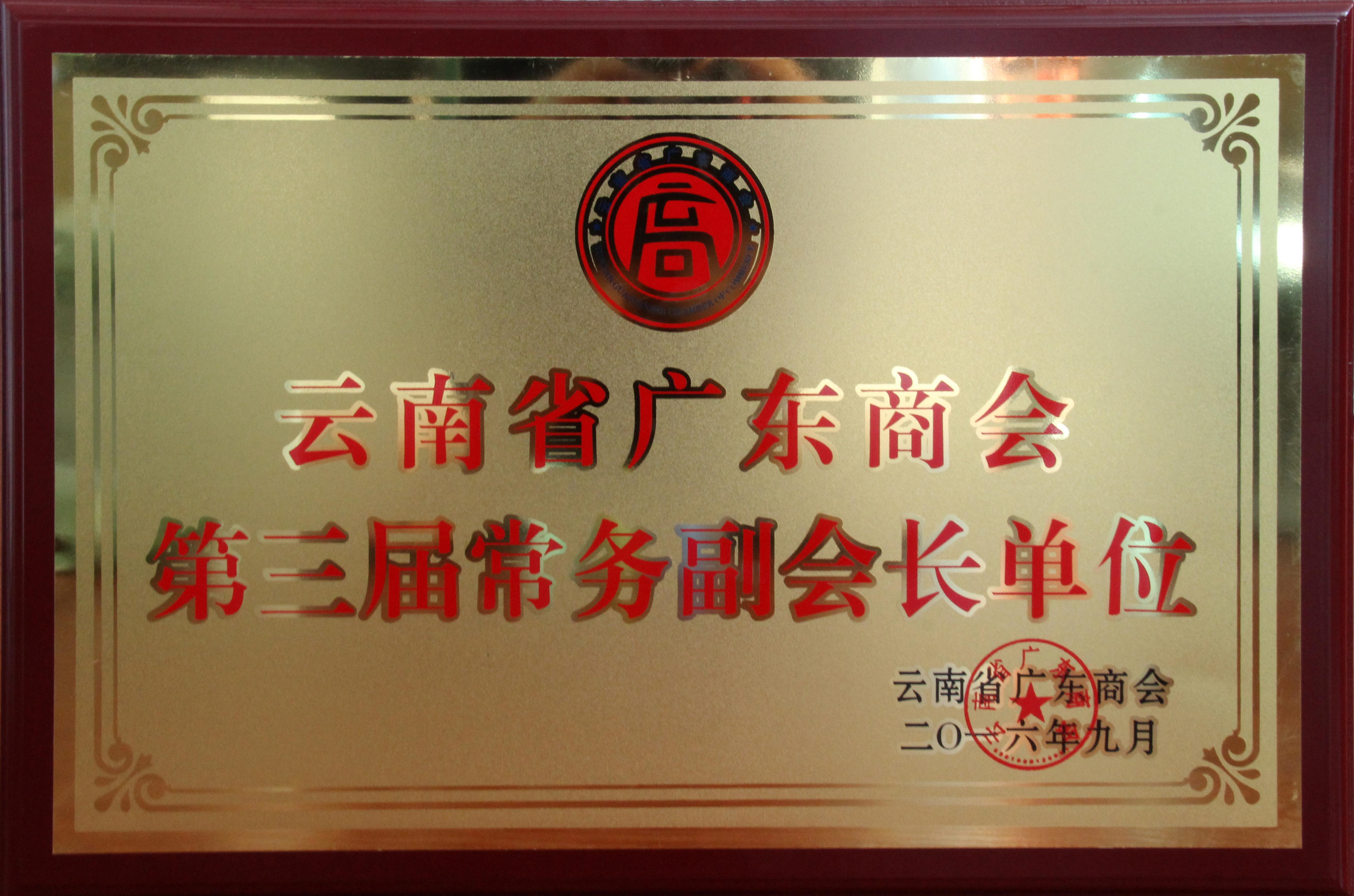 云南省广东商会 - 第三届常务副会长单位