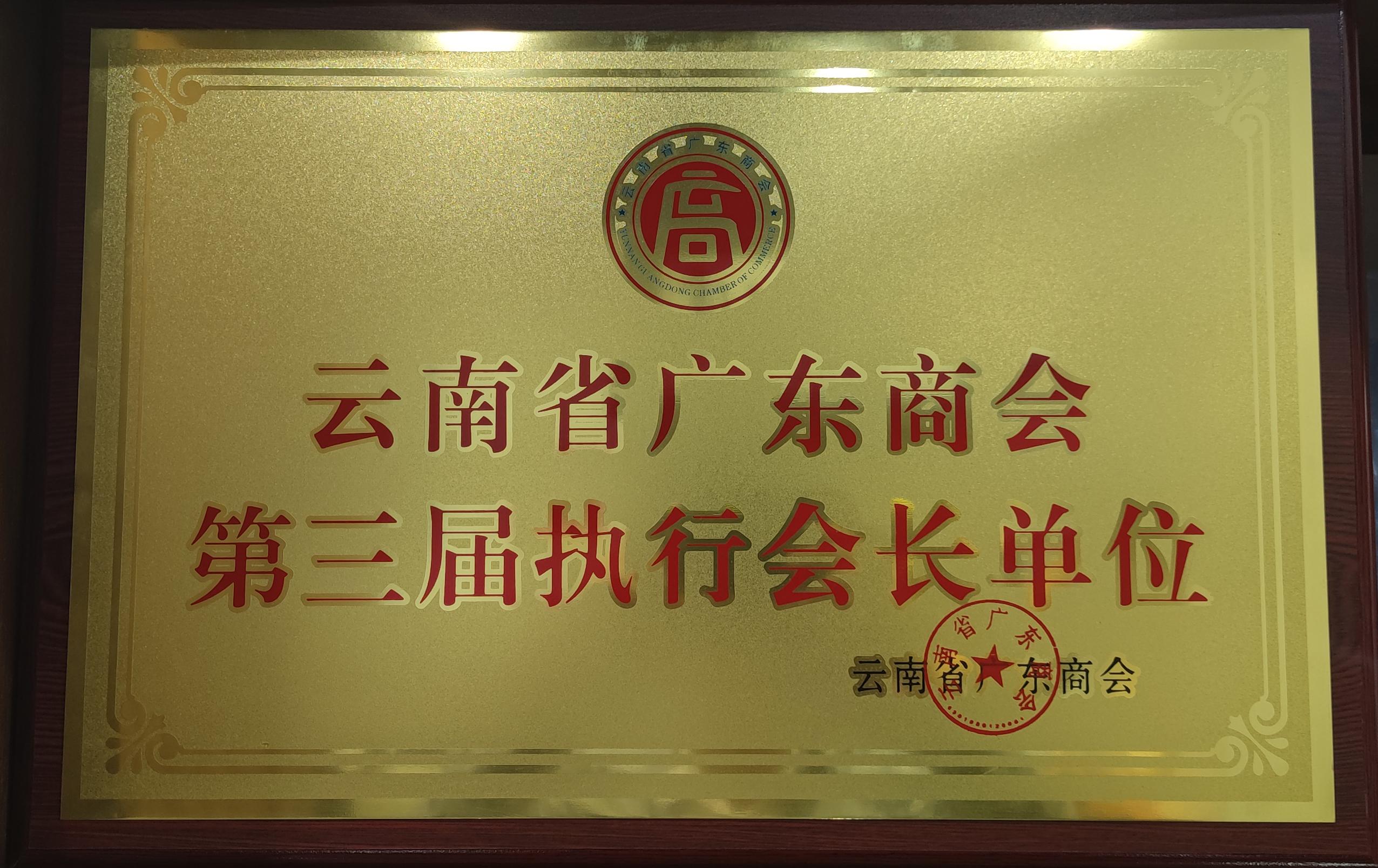 云南省广东商会 - 第三届执行会长单位