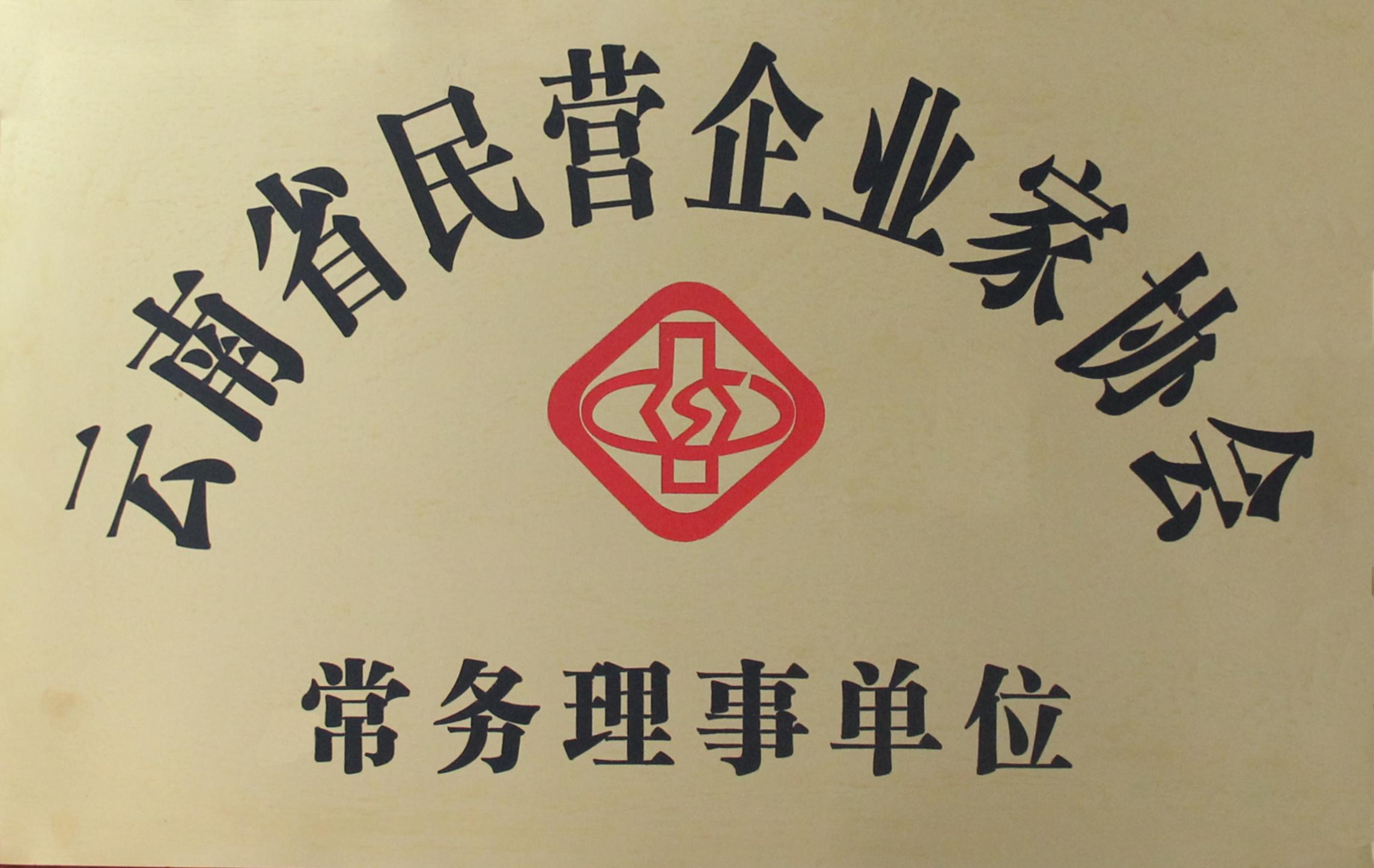 云南省民营企业家协会 - 常务理事单位