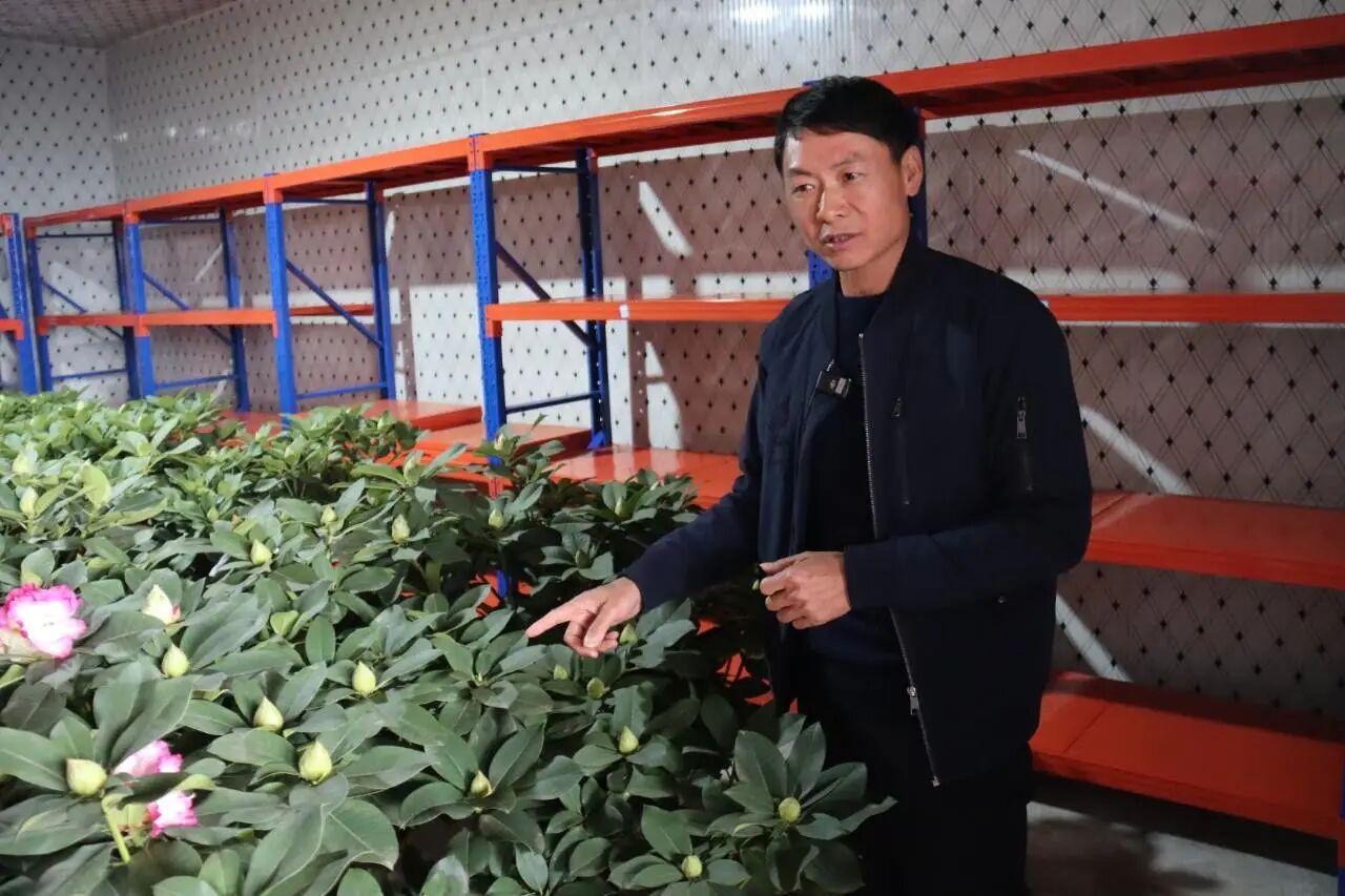 嵩明浩丰温室培育图