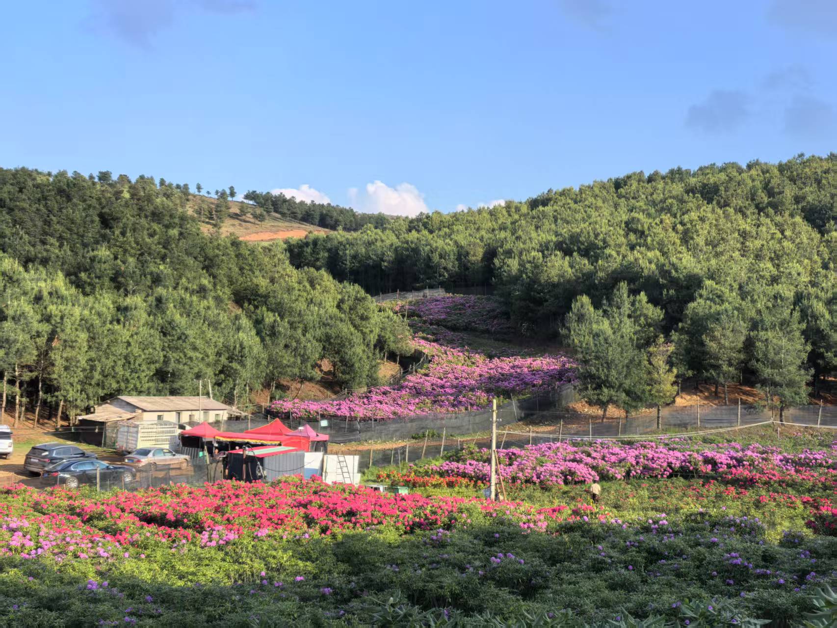 嵩明浩丰种植基地图