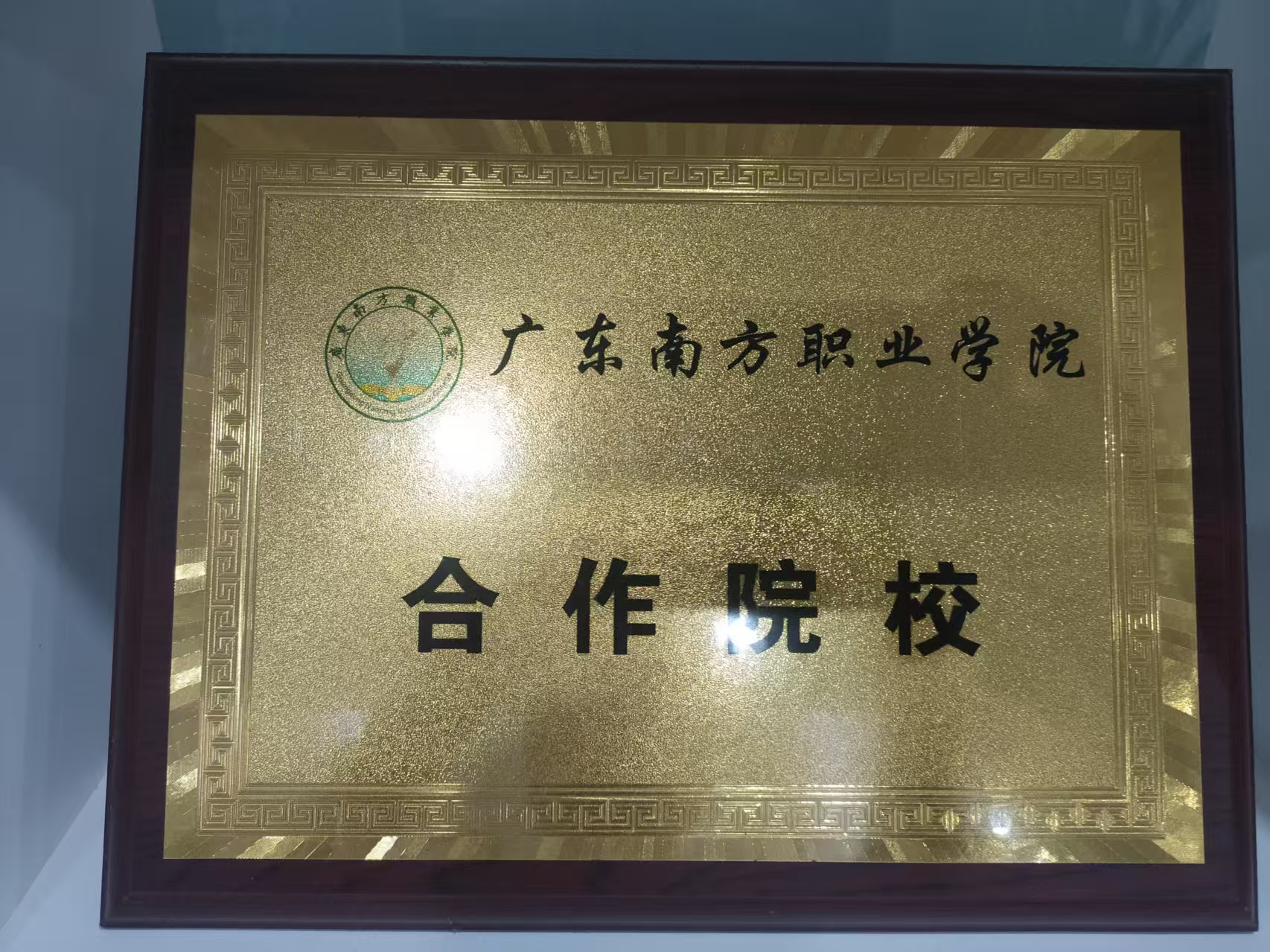 新未来教育 广东南方职业学院合作院校图